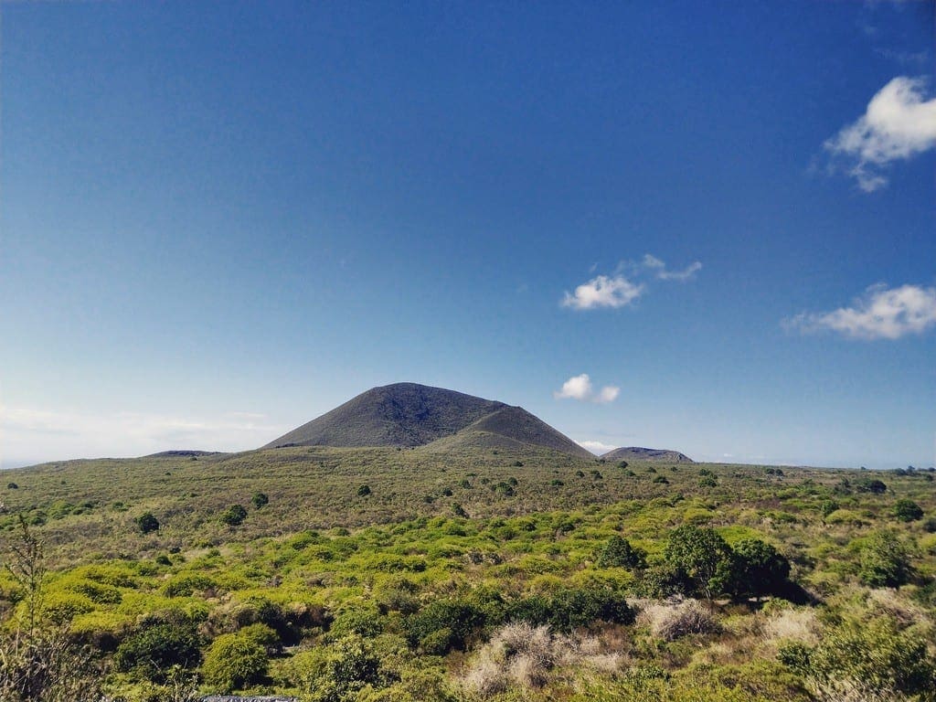 Your Once in a Lifetime Trip to the Galapagos Islands on a Budget ...