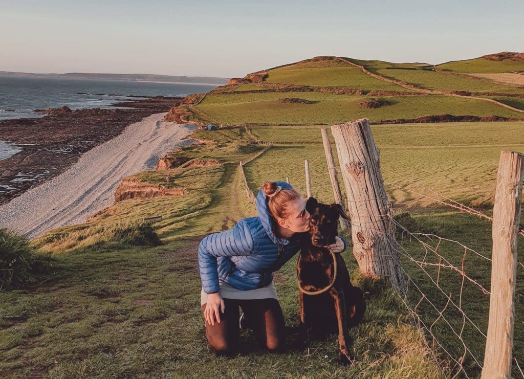 Digital Nomad With Dog 7 Things Travel Addicts Need To Know Before